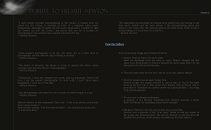 Tribuite to Helmut Newton
